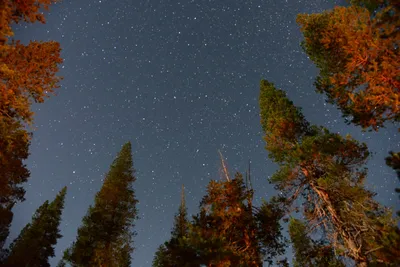 DSC_3727 (Large).JPG